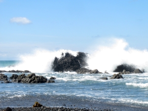 Image of img_3102.jpg