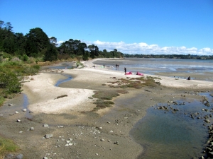 Image of img_3601.jpg