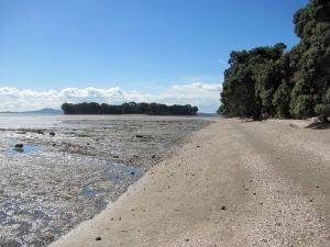 Image of img_3625.jpg