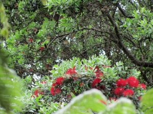 Image of img_3696.jpg