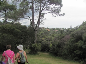 Image of img_3733.jpg