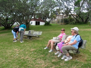 Image of img_3742.jpg