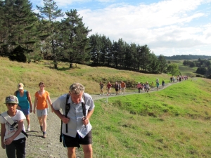 Image of img_4009.jpg