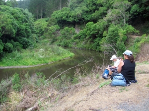 Image of img_4024.jpg