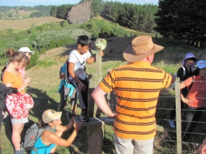 Image of img_4026.jpg