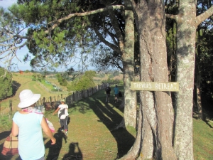 Image of img_4052.jpg