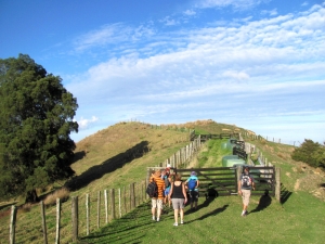 Image of img_4061.jpg