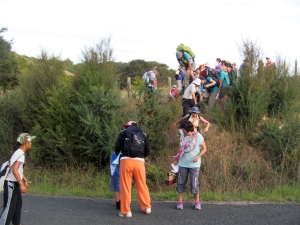 Image of img_4071.jpg