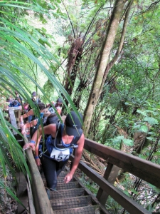 Image of img_4292.jpg