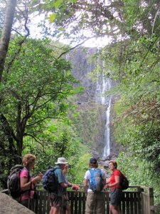 Image of img_4295.jpg