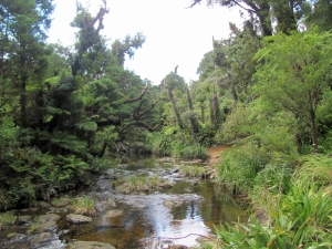 Image of img_4326.jpg