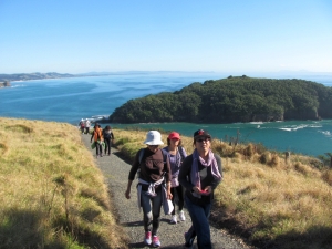 Image of img_5119.jpg