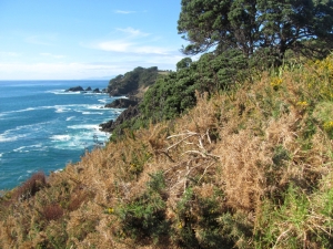 Image of img_5126.jpg