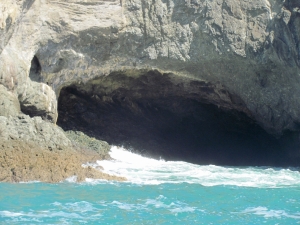 Image of img_5208.jpg