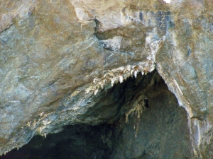 Image of img_5215.jpg