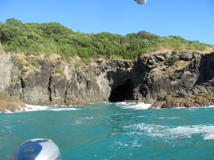 Image of img_5217.jpg