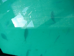 Image of img_5232.jpg