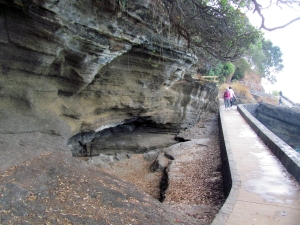 Image of img_5825.jpg