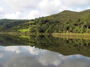 Image of img_5990.jpg