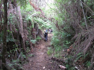 Image of img_6014.jpg