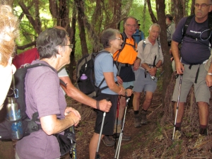 Image of img_6016.jpg