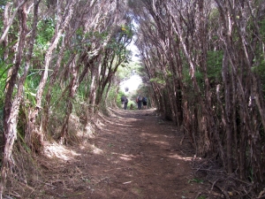 Image of img_6023.jpg