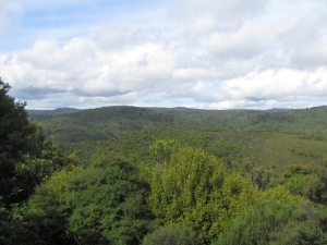 Image of img_6025.jpg