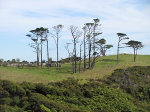 Image of img_6051.jpg