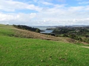 Image of img_6163.jpg