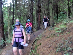 Image of img_6168.jpg