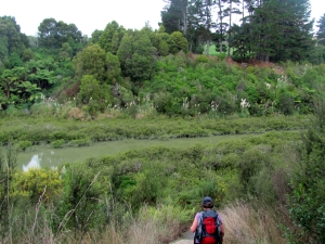 Image of img_6178.jpg