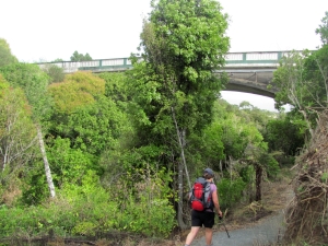 Image of img_6183.jpg