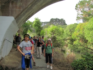 Image of img_6187.jpg