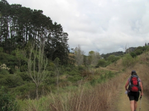 Image of img_6191.jpg