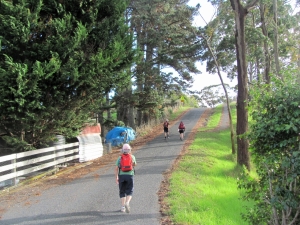 Image of img_6211.jpg