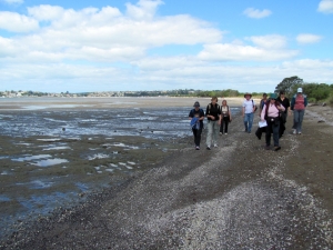 Image of img_6221.jpg