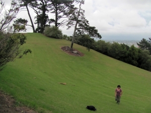 Image of img_6230.jpg