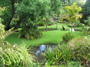 Image of img_6233.jpg