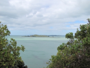 Image of img_6249.jpg