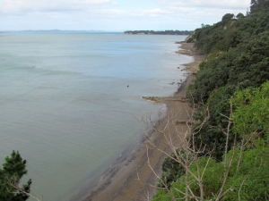 Image of img_6264.jpg