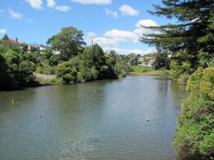 Image of img_6399.jpg