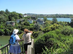 Image of img_6406.jpg