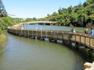 Image of img_6408.jpg