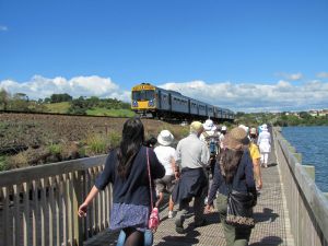 Image of img_6434.jpg