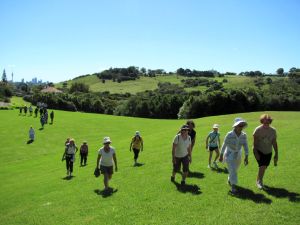 Image of img_6447.jpg