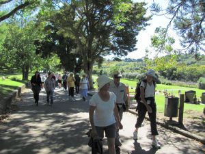 Image of img_6455.jpg