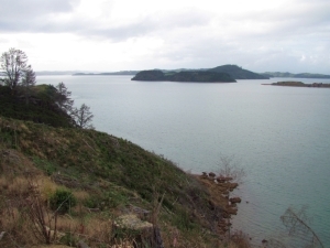 Image of img_7228.jpg