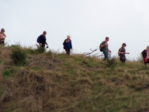 Image of img_7270.jpg