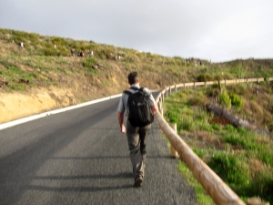 Image of img_7292.jpg