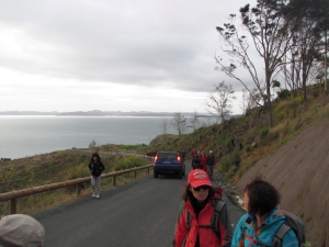 Image of img_7294.jpg